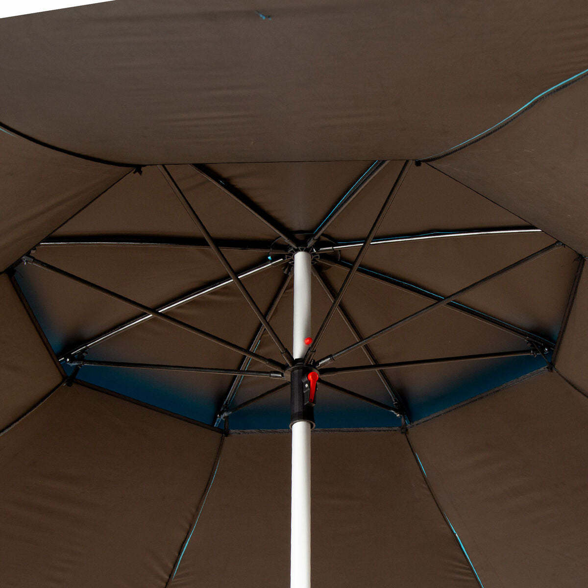 V2H6EDF8A8D54C192B94070223B556B63A3R5644547P5