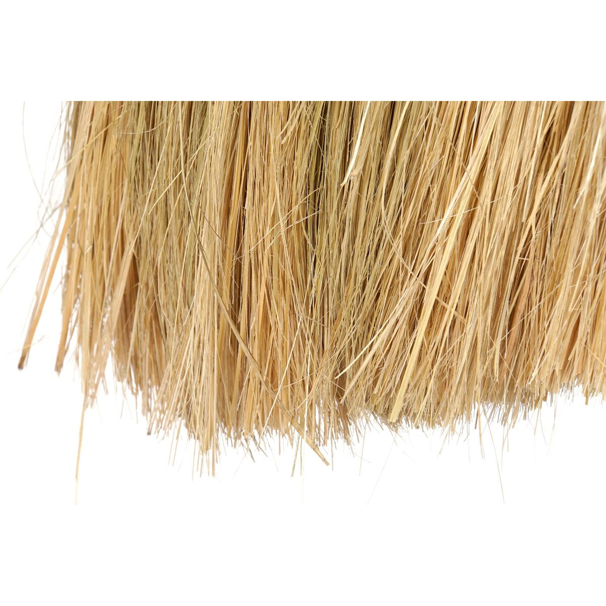 V7H9C1D8C40593922F9A27C2195E69C1951R6378007P5