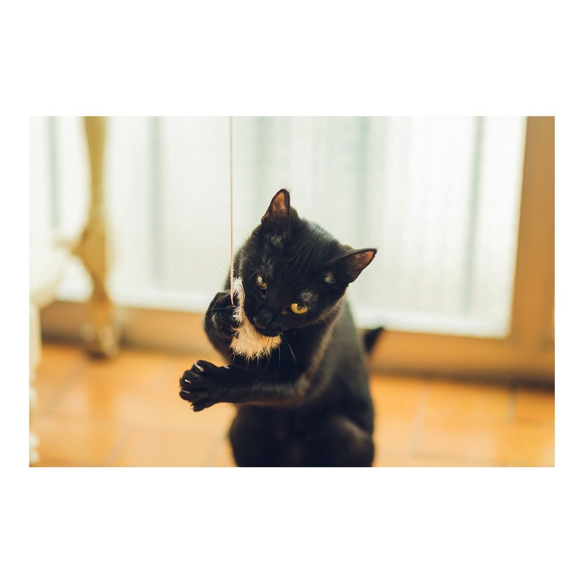 V9H2E3780D4B53499AD9D7B4193E32C75BER4263188P3