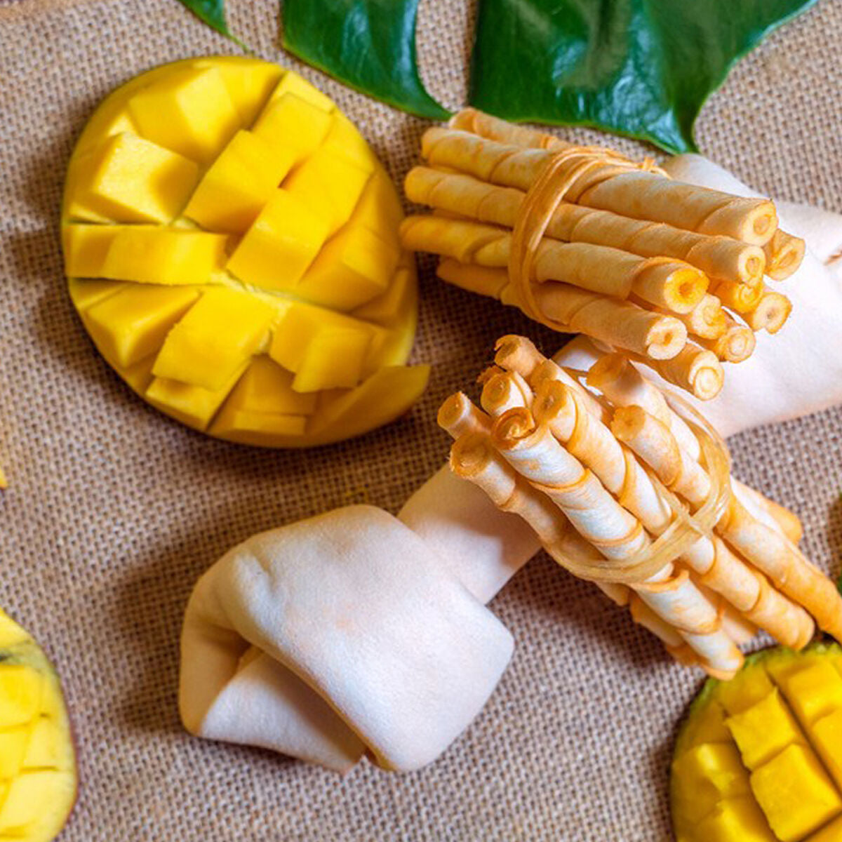 V9H6CE716CAE3E05B6923A9D48397A1F1A6R3880137P2