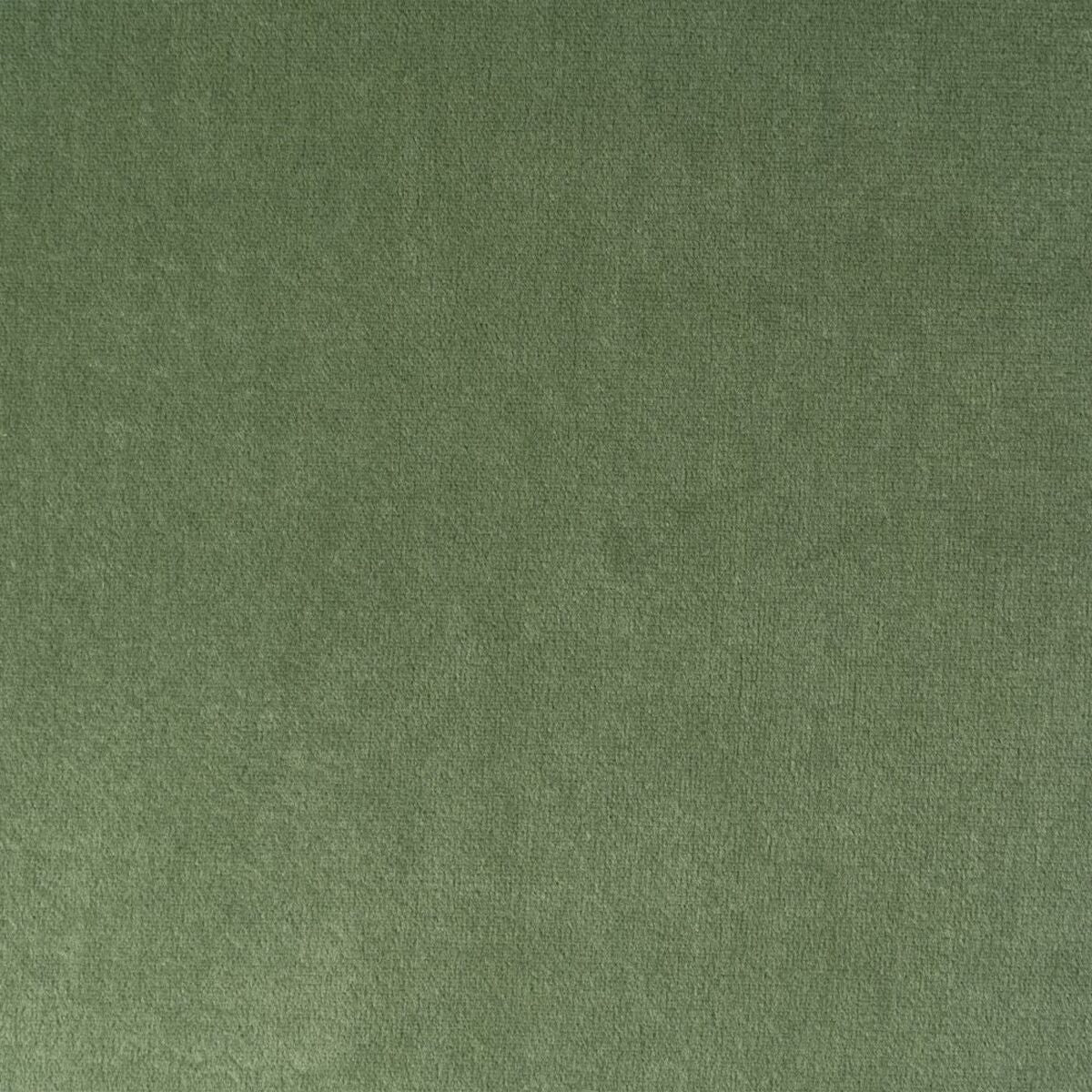 V4HDF82EB3894450A830ED3659744B3131FR2480700P3