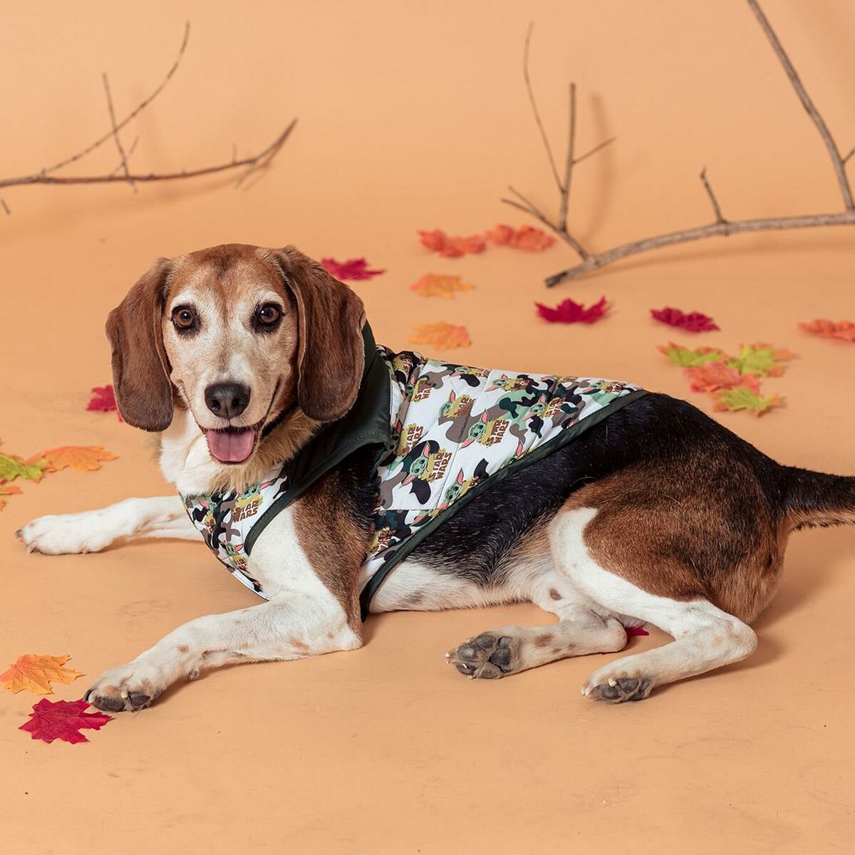 V3H73D32F07E4A5BB43AC3EF05CBDF9F56FR5075915P5