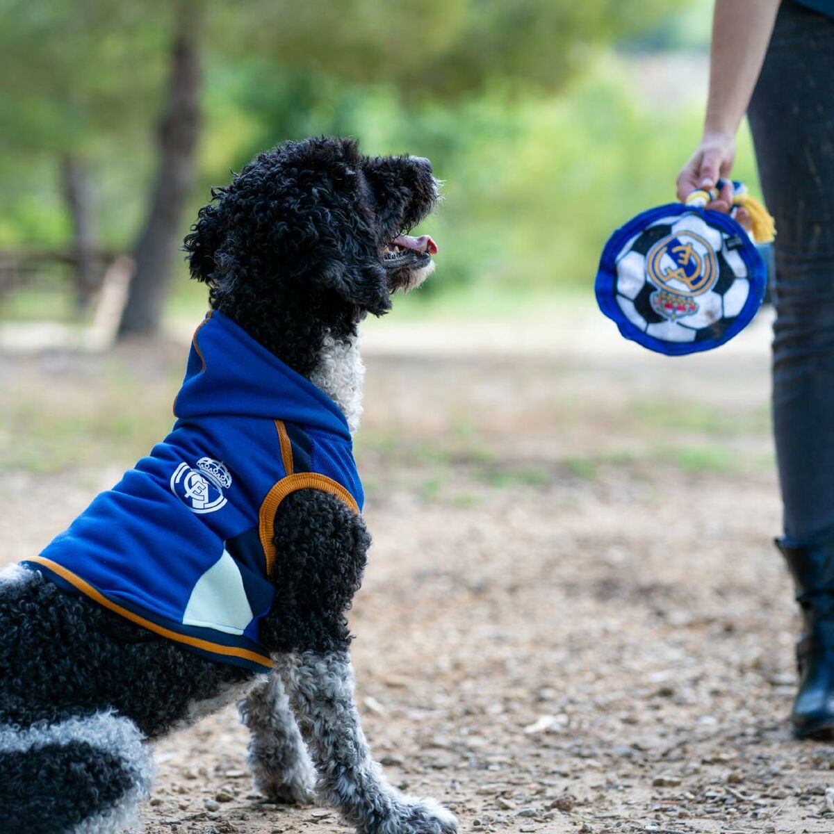 V2H76B248030BDC6993834BF943CCE1DFA9R6446425P5