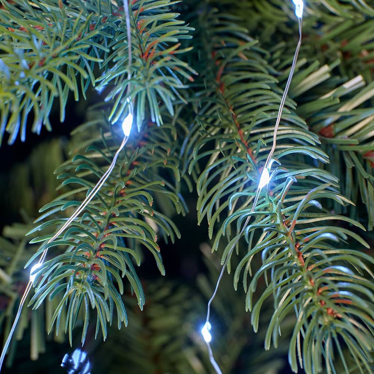 V2H324A43247F0C4B920F16ED89C958F234R6249686P4