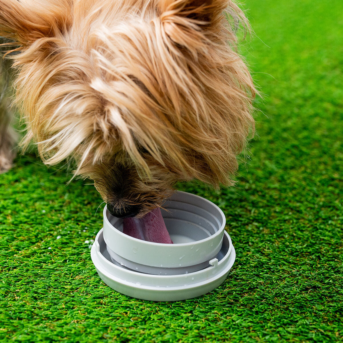 V5HE3A9941EE80F88219A14B732F4E04543R5279949P7