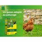 V2H8ADEEDC66EF7245ECEE8119A1BEB4DE9R5808581P2
