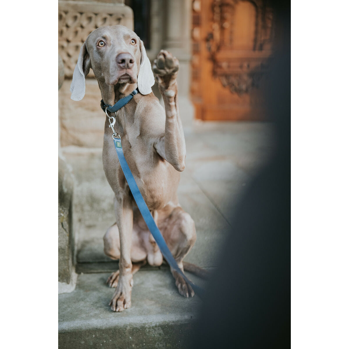 V2H79687F794577BE1869ED0C7DBE8FFA1AR5584344P4