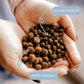 Pienso PERRO Duck with sweet potatoes Small breeds Pato 1 kg Adulto