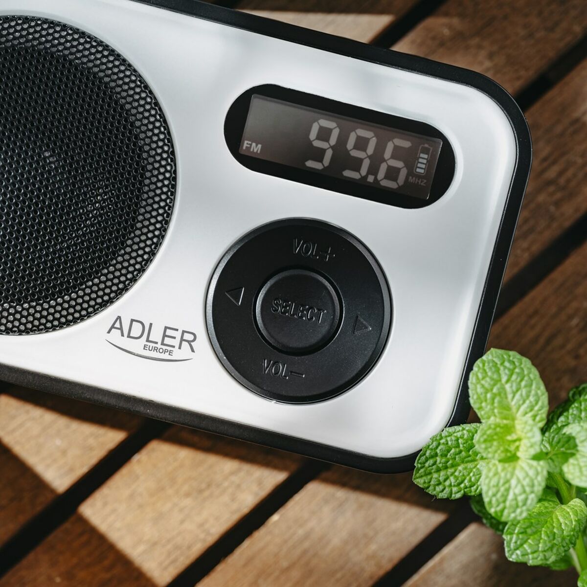 V2HA6CF4EBD819483C91F21AF4CBA397558R5832060P10