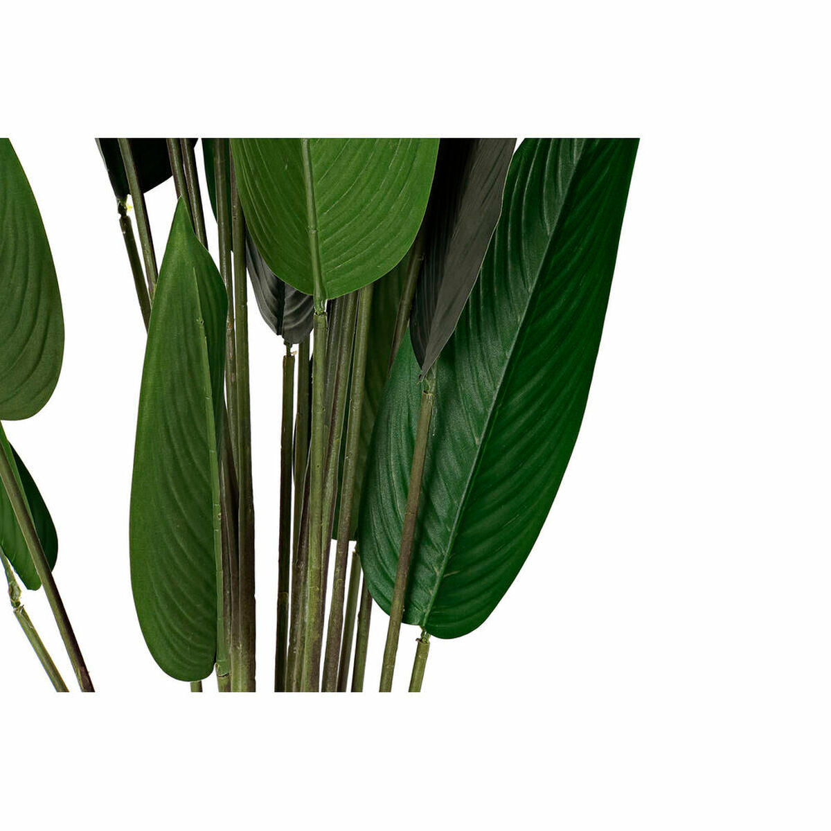 Planta Decorativa DKD Home Decor 50 x 50 x 160 cm Polietileno Verde Ave del paraíso Urbano
