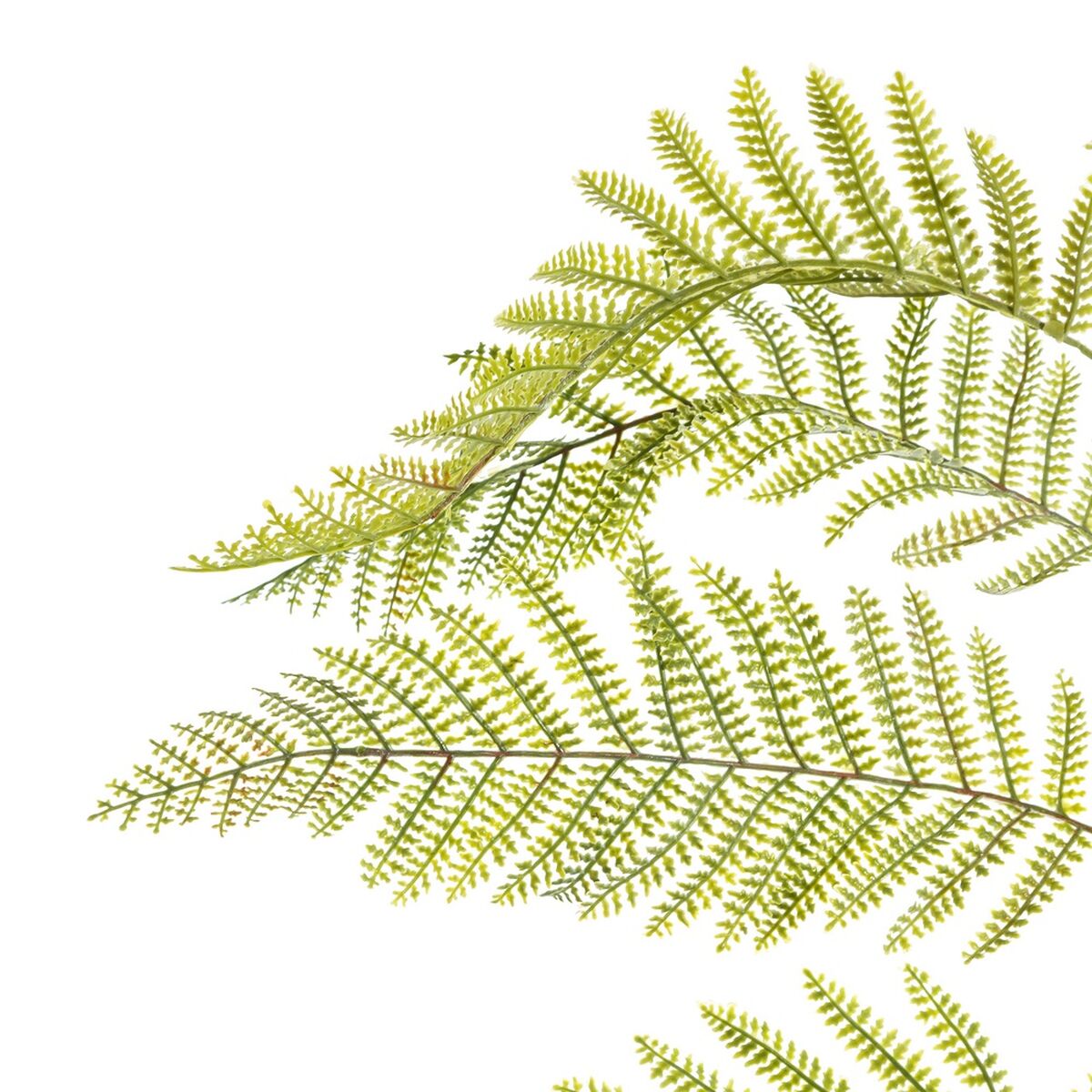 V5H33483F06FCB3C267E003BA488D69158ER4419320P2