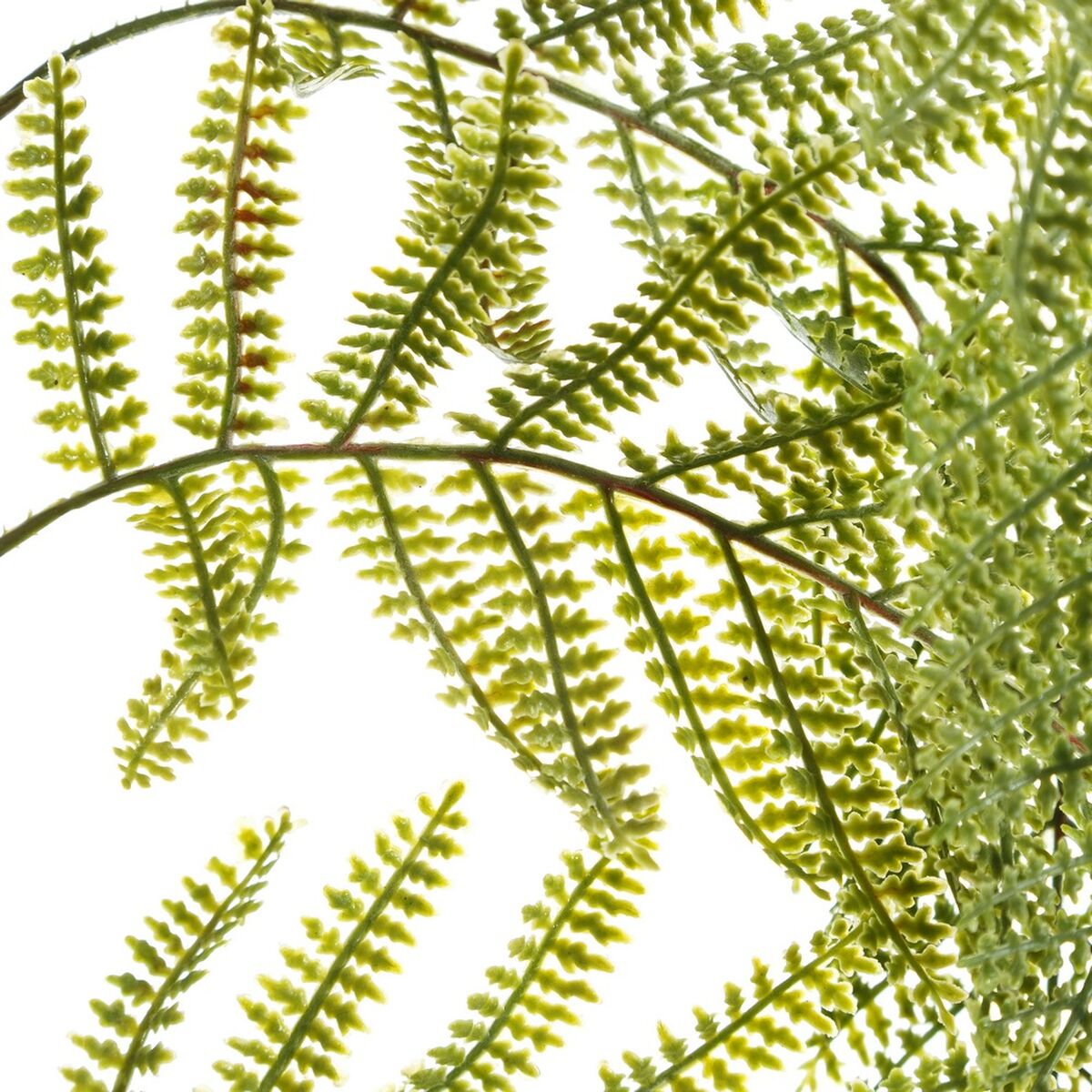 V5H12C12923938CCC5F03B20F76B220178DR4419321P3