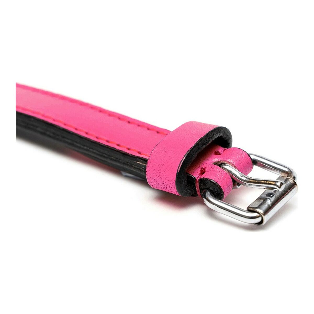 Collar para Perro Gloria Acolchado Fucsia (55 x 2,5 cm)