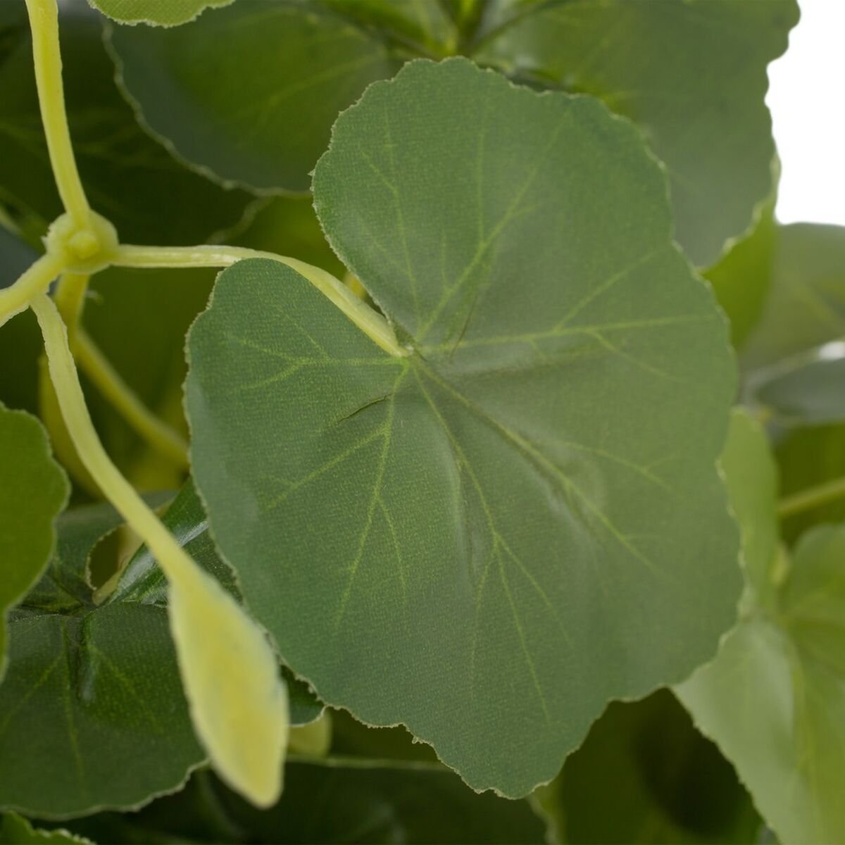 V4HC9AA15C17B6685A98A17E9813AADF6D3R3676914P6