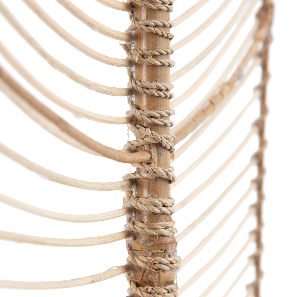 V5HF595F9A62B04D073A8C0BCCE4D2C8EFDR3712126P5