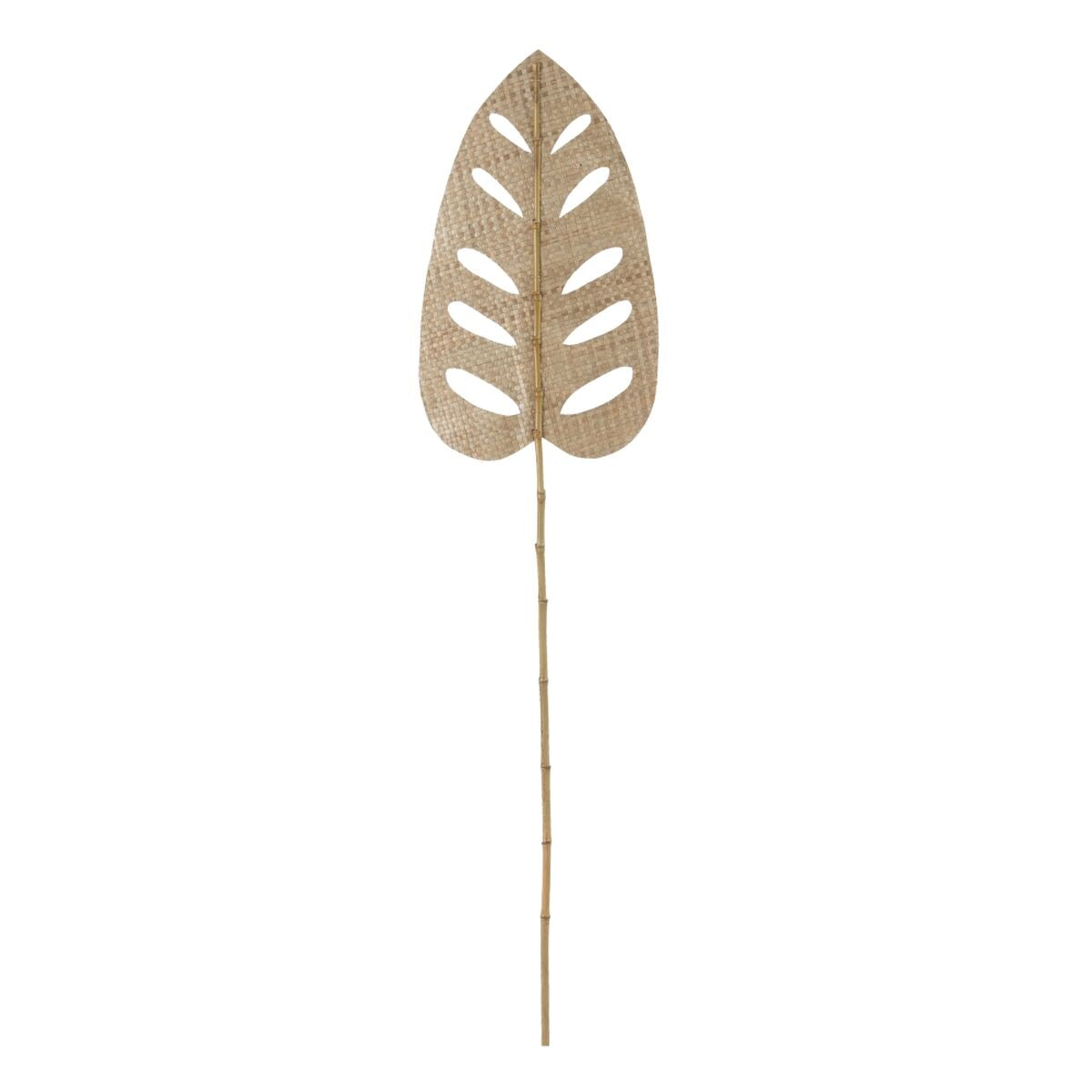 V5HFDC1FAA18EE905A695662B0D8AA488C9R3712110P1