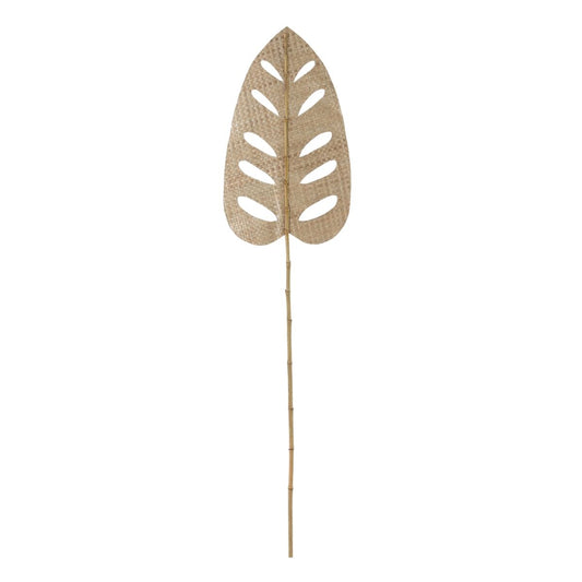 V5HFDC1FAA18EE905A695662B0D8AA488C9R3712110P1