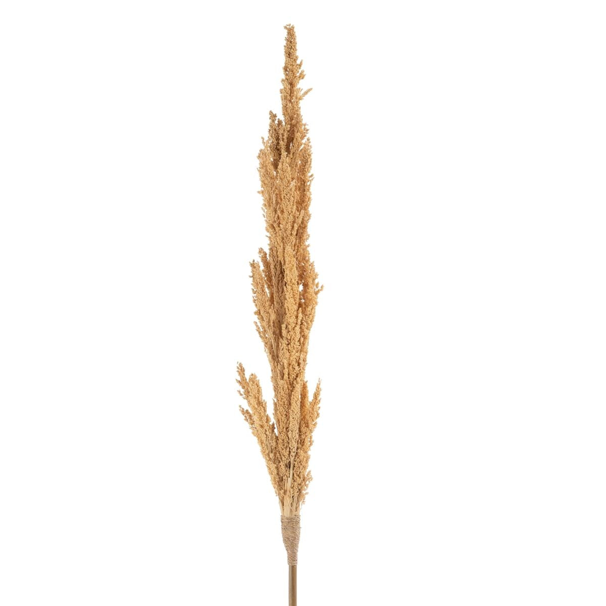 V5HEEDB37BD6114982BF590555298CC0BDDR3712098P2