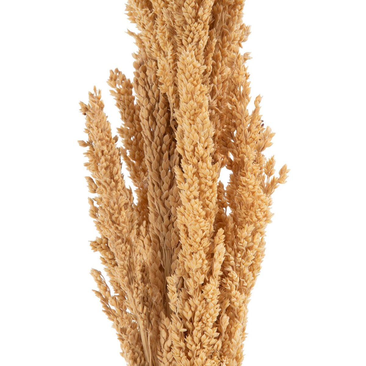 V5H844D36D50FB7CFE7E9F1D2AE7999798CR3712102P4