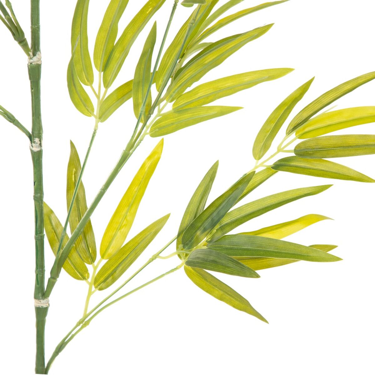 V5H4B690EF785C5C7B56534BE96292B3109R4419315P4