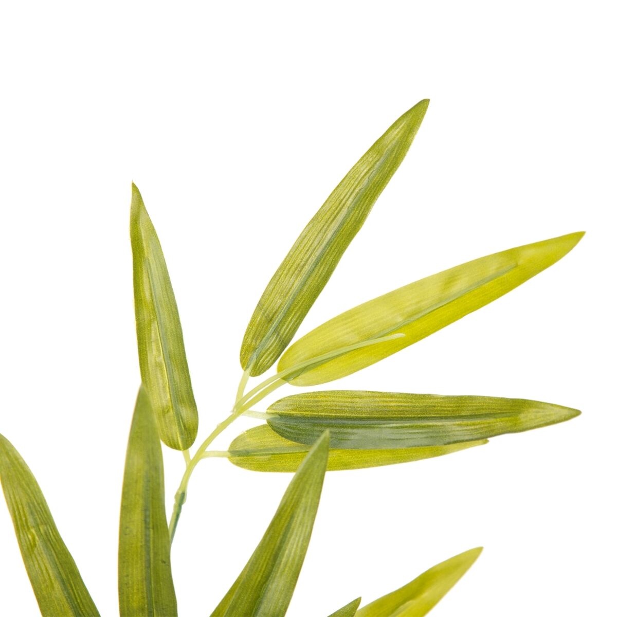 V5H0325EEACBEC03052696CF9BE2F2B1732R4419317P5