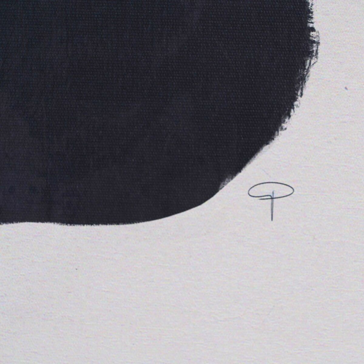 V4H5F206A6502DA4892A5FE161310B7E193R2460981P4