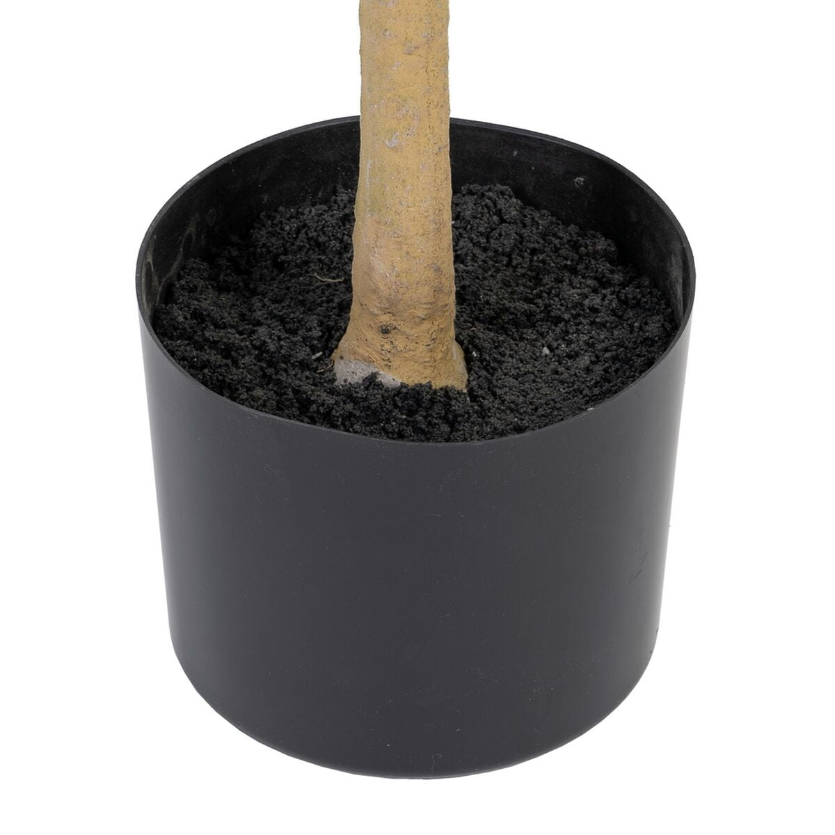 V4H7922FD3E2FF62931FFC1A993949FA0E2R4805105P5