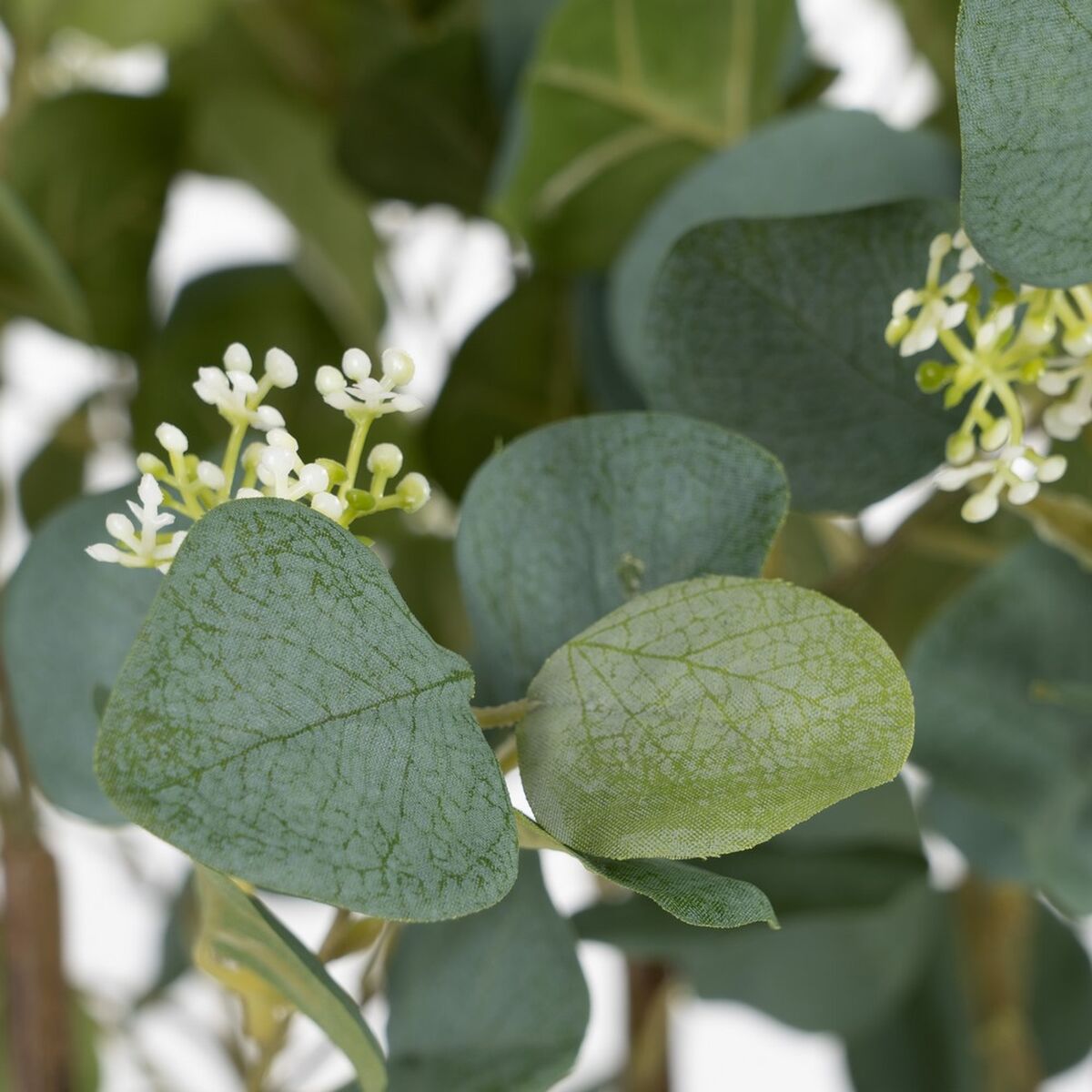 V5HBEC32504C6F9320471A59403F2D3EC96R3861339P3