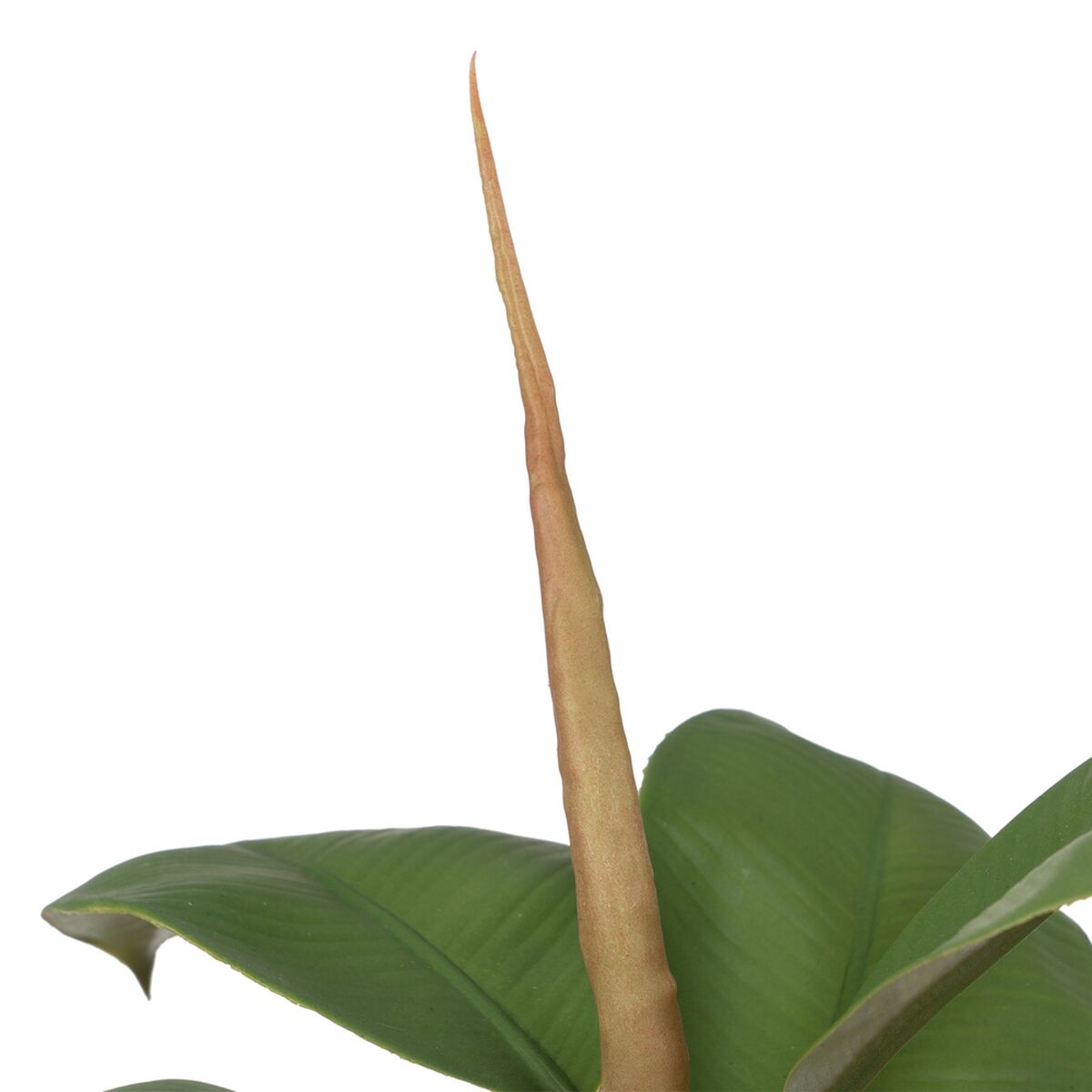 V5H7D67B65B700E0198D73F4FD9F50A6130R3676942P2