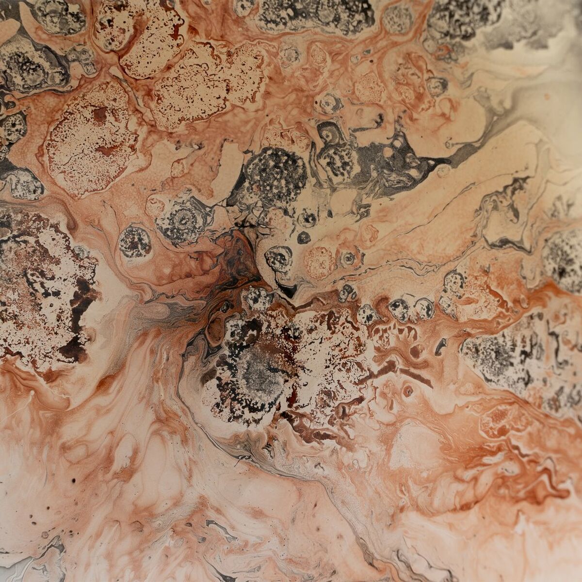 V5H7E709E36502B924F47EB14CEBEC4A731R6294241P3