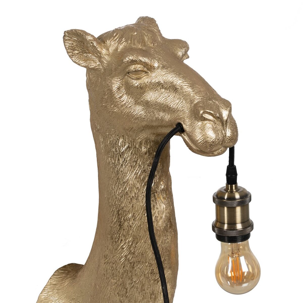 V5HBD2AE19AA105B02A30B7683C66BF1A90R3703259P6