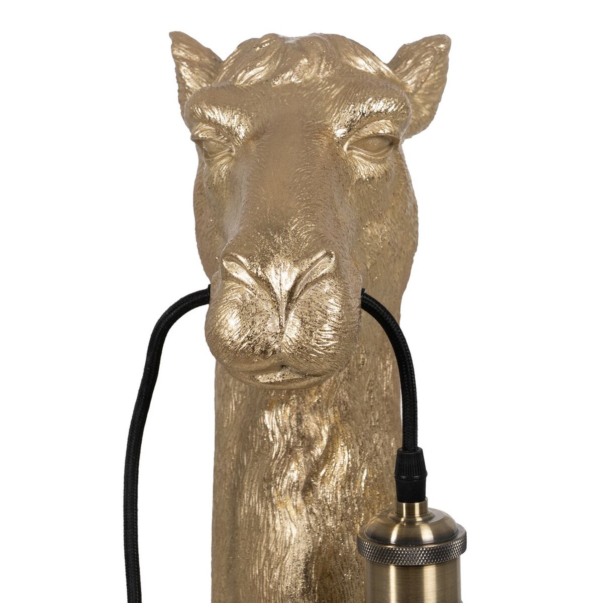 V5HA41270F683F88B0F262001AD0460BD0AR3703260P7