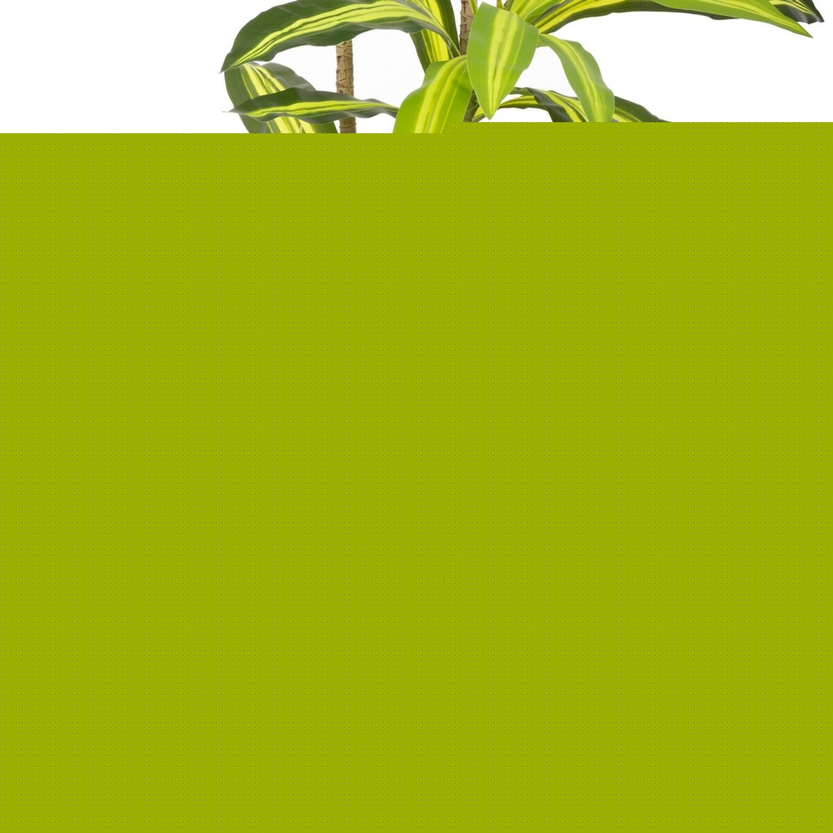 V4H96888A41ED09A8895B7127A3E87F689AR4217746P6