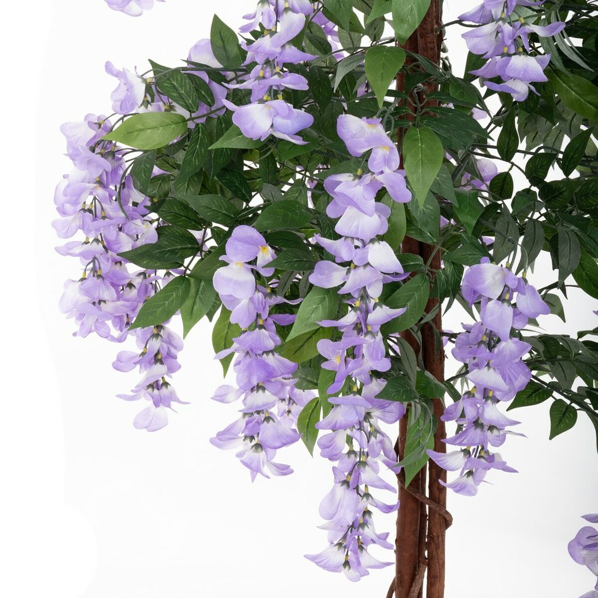 V4HCEA24A900764E9D02951F392A22AABB9R4217751P5