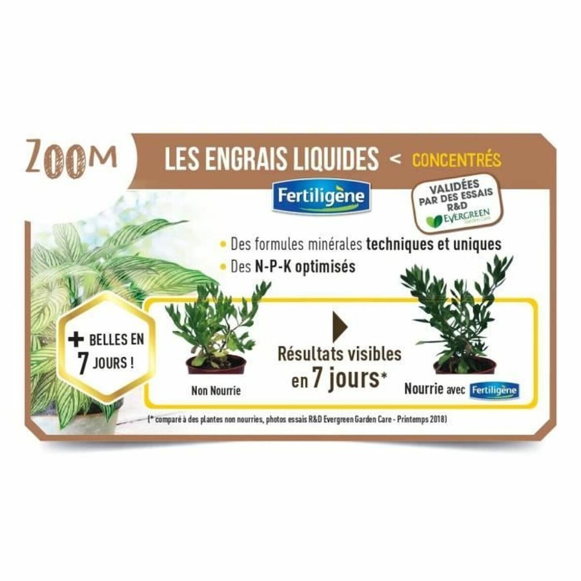 Fertilizante para plantas Fertiligène Geranio Flores 3 L - Imagen 3