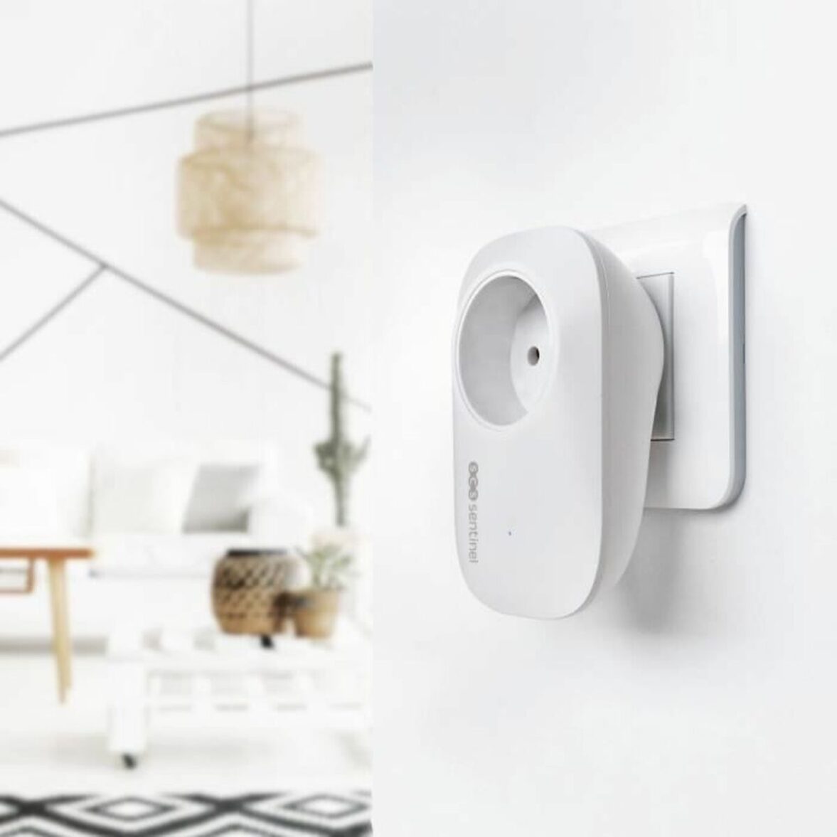 Timbre Inalámbrico con Pulsador SCS SENTINEL EcoBell 100 100 m - Imagen 6