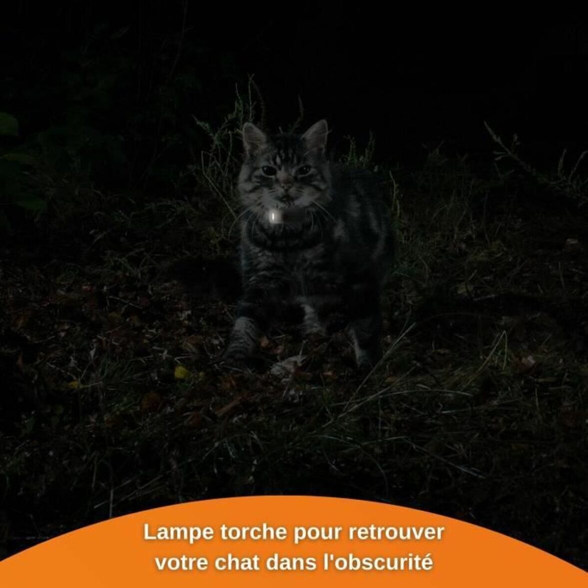 Localizador Antipérdida Weenect Weenect XS GPS Gato Blanco - Imagen 7