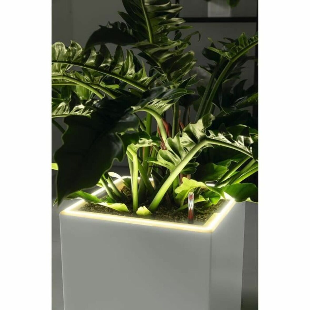 Maceta Lechuza 40 x 40 x 76 cm Plateado (1 unidad) - Imagen 5