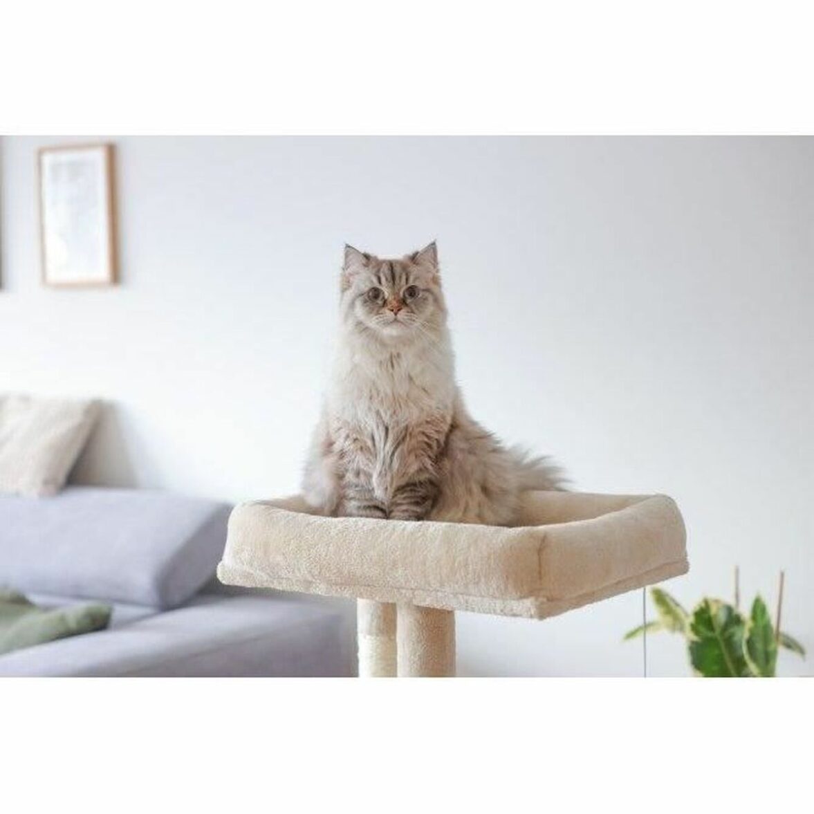 Árbol rascador para gatos Kerbl Beige - Imagen 6