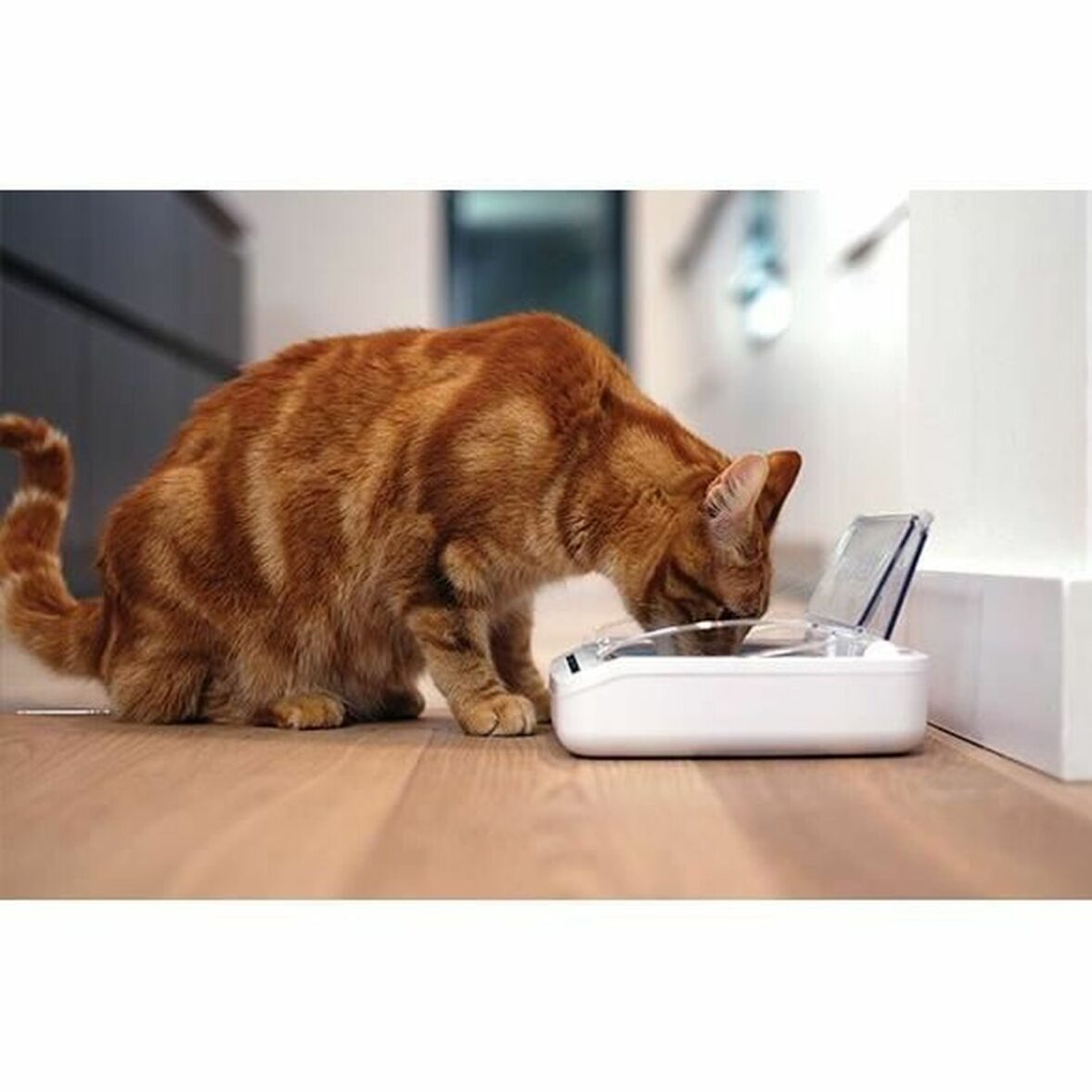 Comedero automático SureFlap SureFeed 400 ml Baterías x 2 - Imagen 4