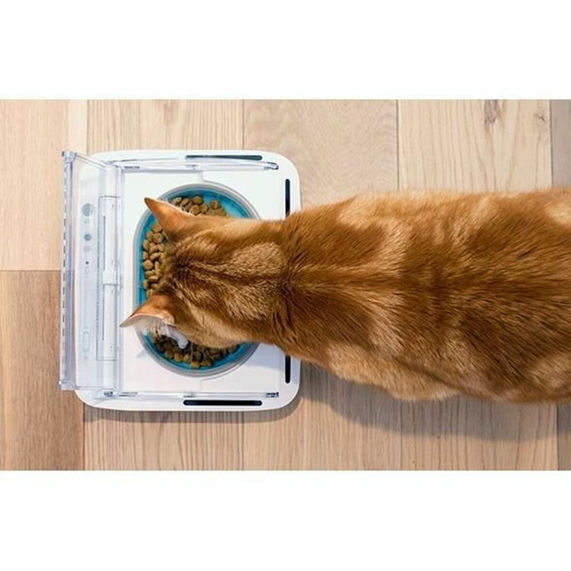 Comedero automático SureFlap SureFeed 400 ml Baterías x 2 - Imagen 7