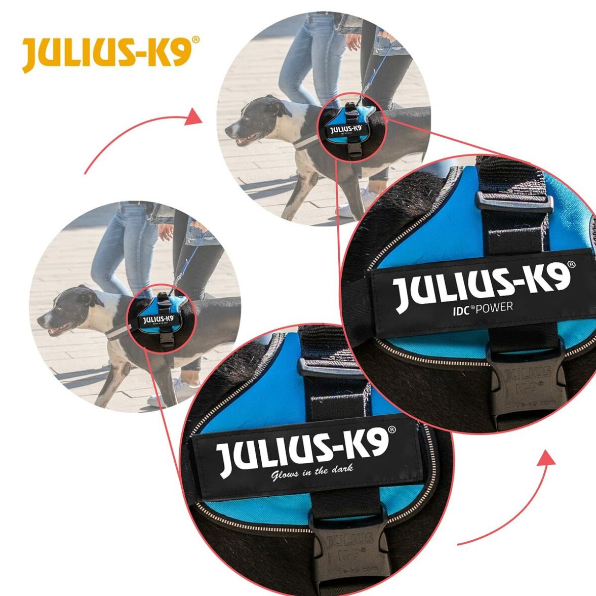 Arnés para Perro Julius K9 Power Azul XL 3 - Imagen 4