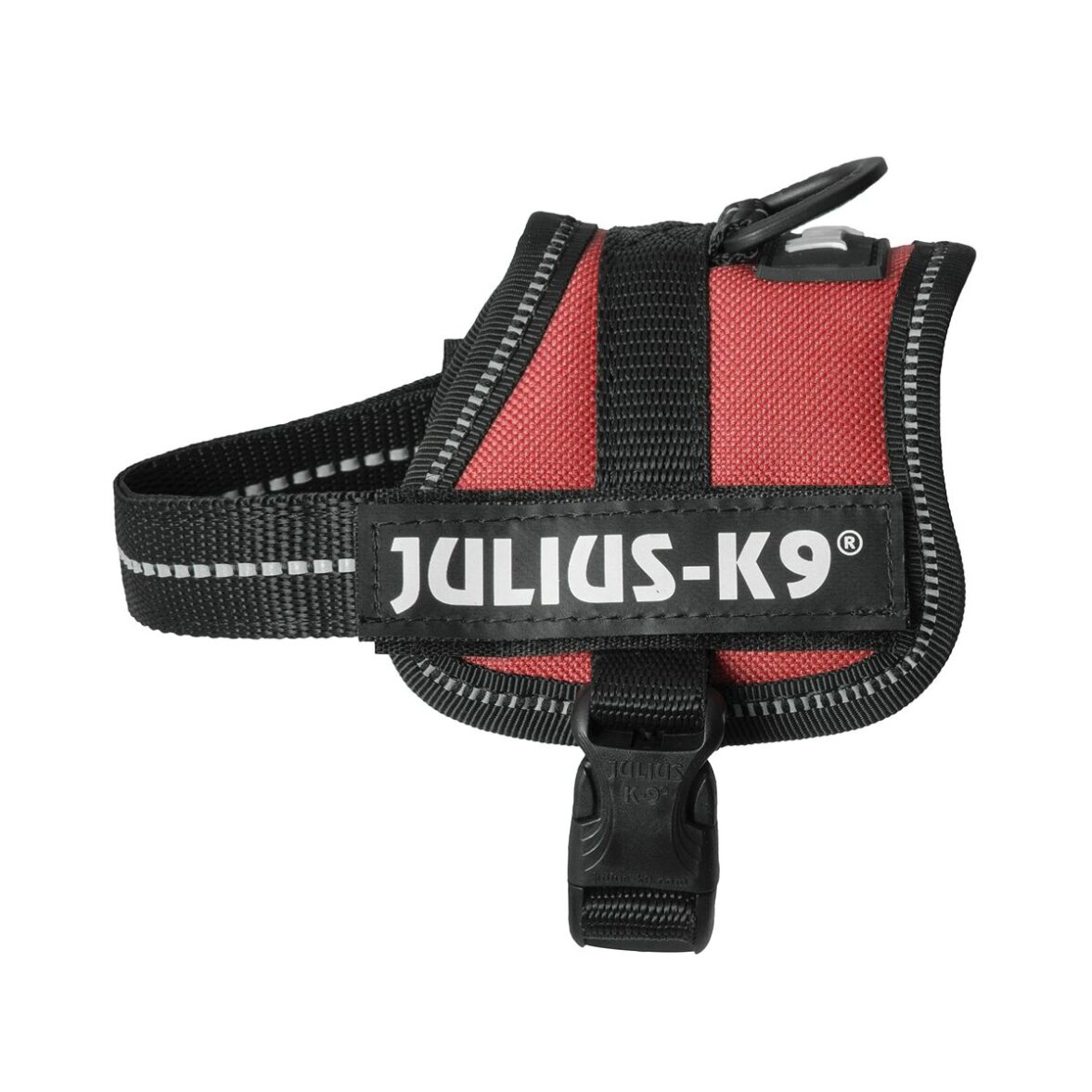 Arnés para Perro Julius K9 Power Rojo 1 Baby 1 (XS) - Imagen 9