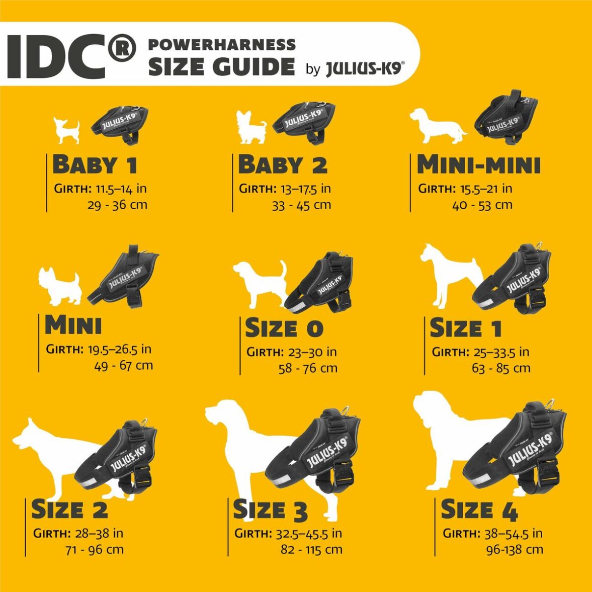Arnés para Perro Julius K9 IDC M/L - Imagen 5