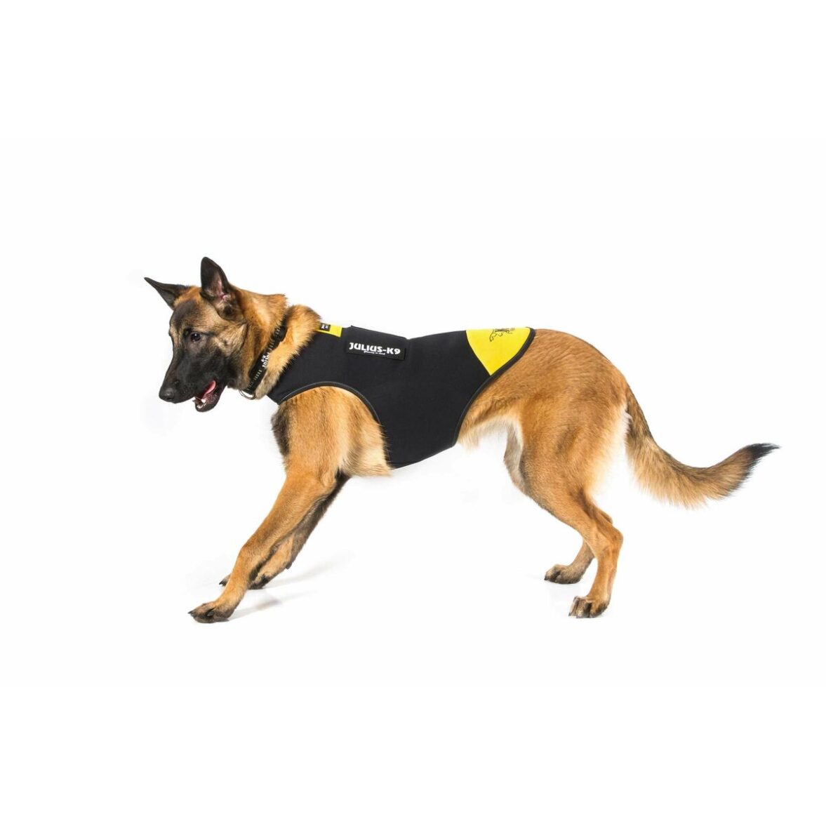 Arnés para Perro Julius K9 IDC L/XL 2 - Imagen 5
