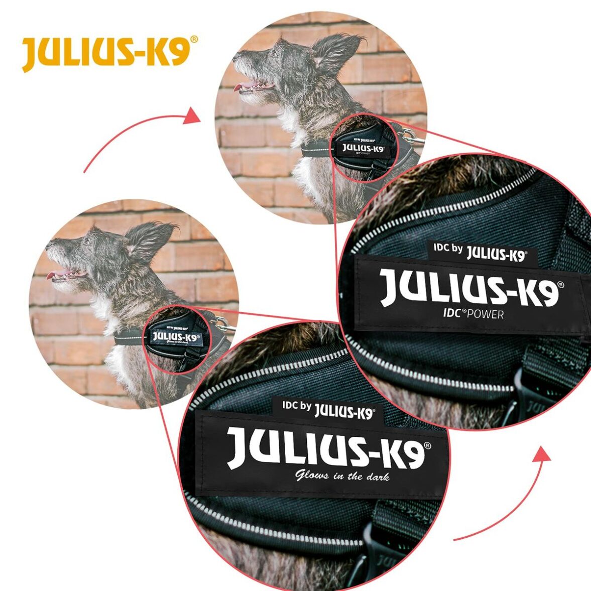 Arnés para Perro Julius K9 IDC Vaquero M/L - Imagen 7