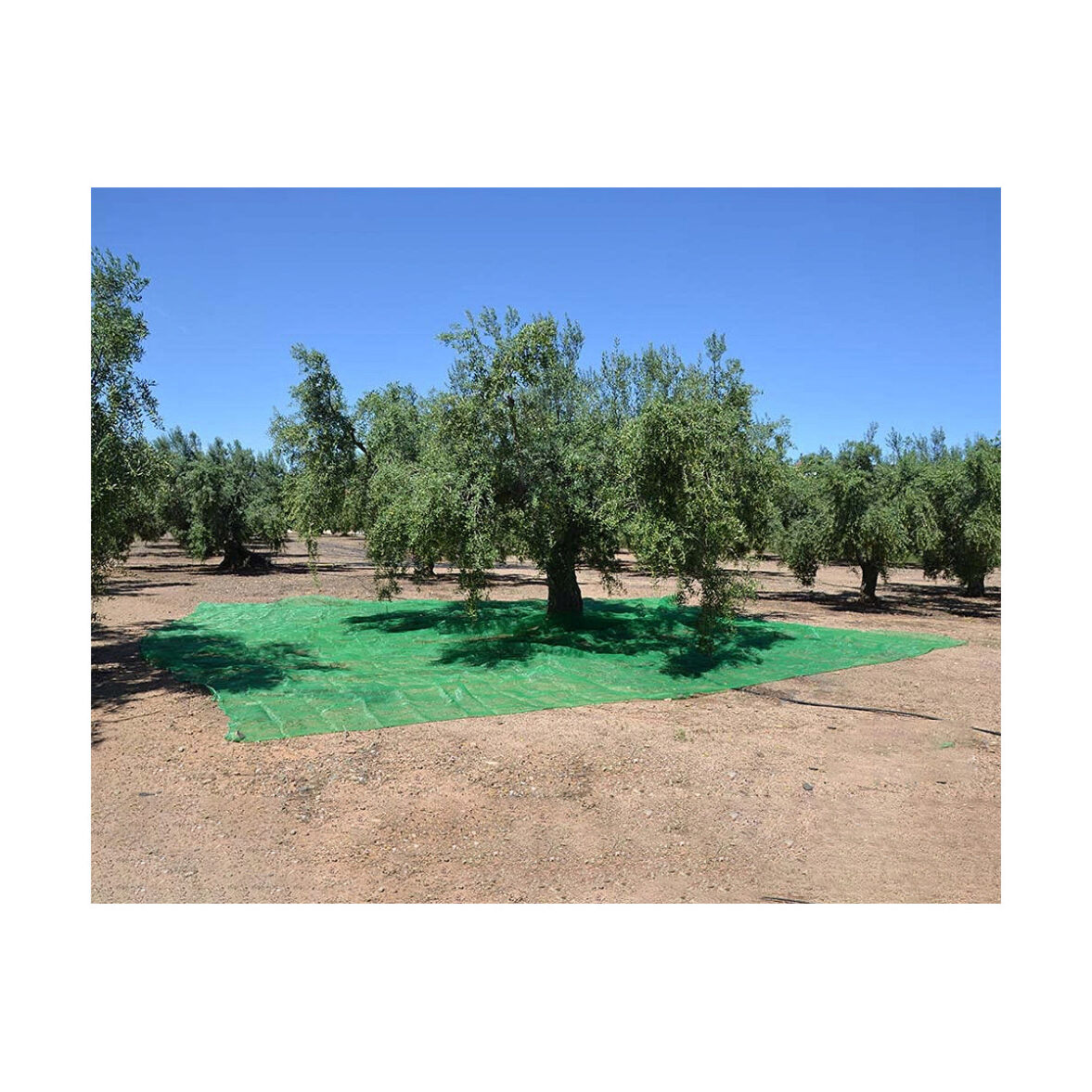 Lona de Protección Verde Polipropileno (7 x 14 m) - Imagen 3