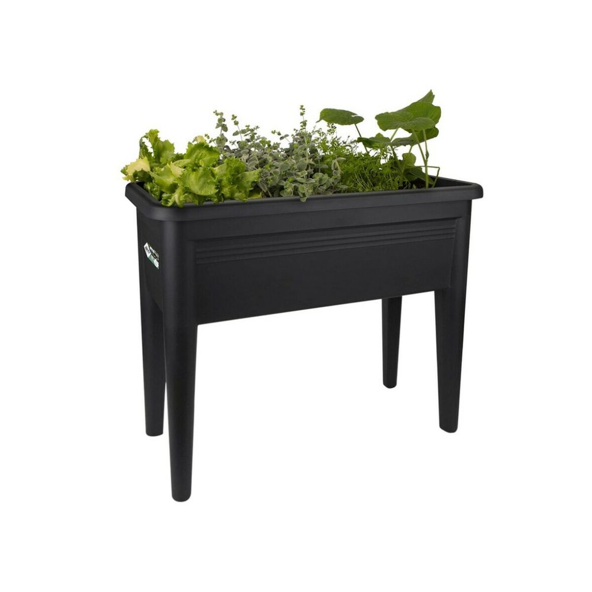 Soporte para plantar Elho Green Basics XXL Negro Plástico 75 cm - Imagen 3