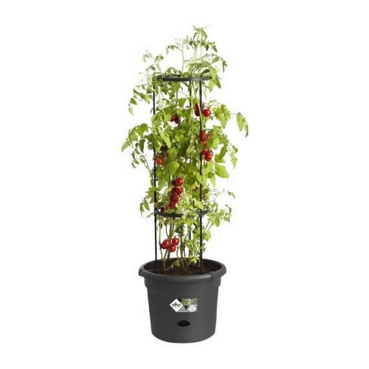 Maceta Elho Basics Tomato Negro (Ø 33 cm) - Imagen 4