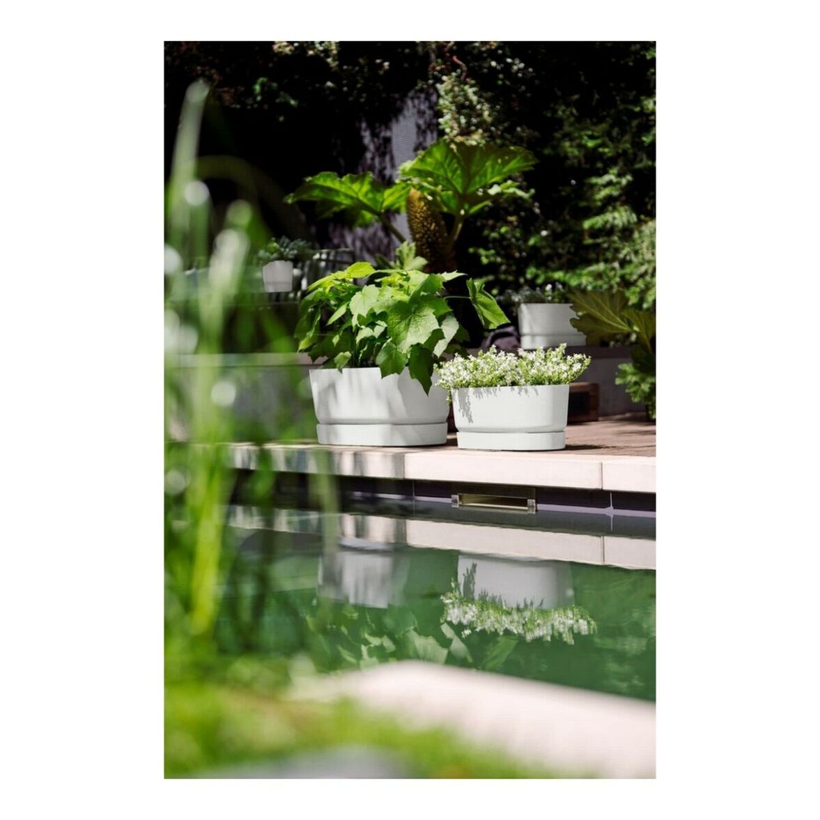 Maceta Elho Terrase 80 Wheels 35 x 78 x 34 cm Blanco - Imagen 8